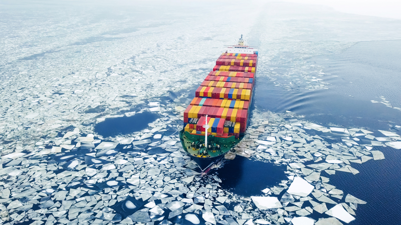 Container Cargo winter